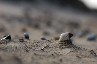 strand_4115
