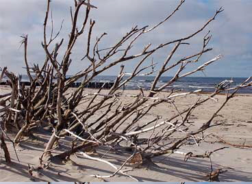 strand_4121