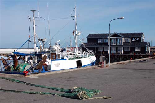 laesoe_9534