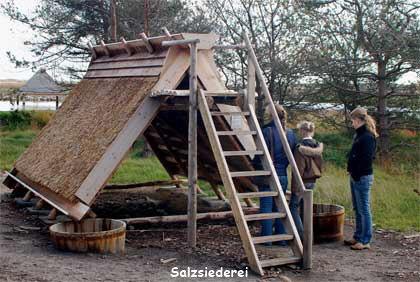 laesoe_9553