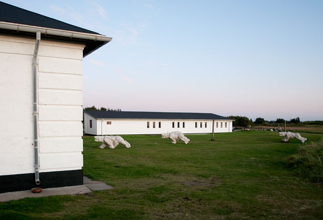 hirtshals_8209