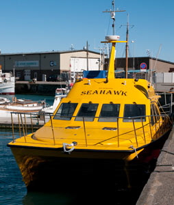 seahawk451
