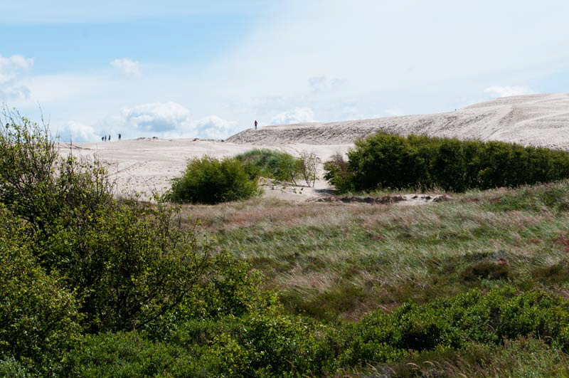 rabjergmile06