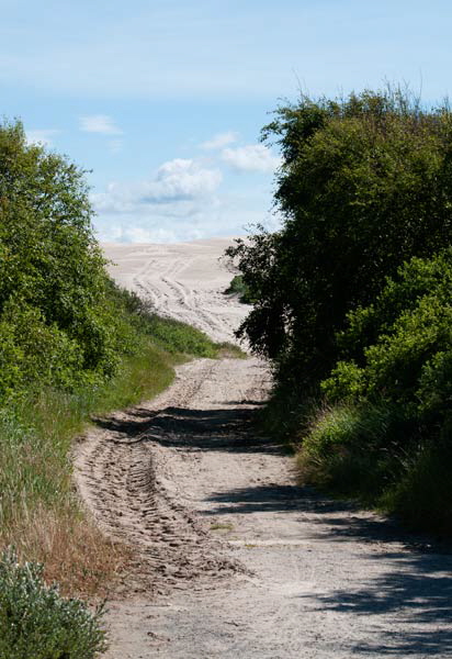 rabjergmile13