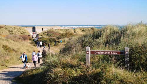grenen_2981