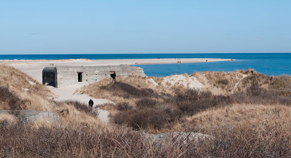 skagen618