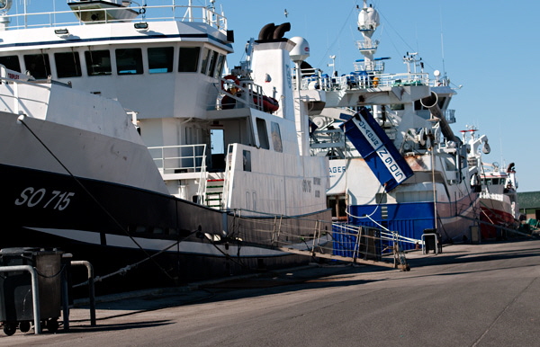 skagen13