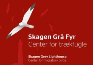 skagen fyr skagen fyr