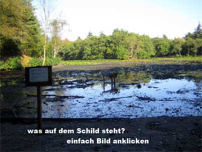 tversted-seen-1