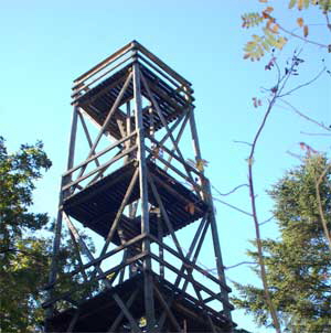 tversted-seen_4