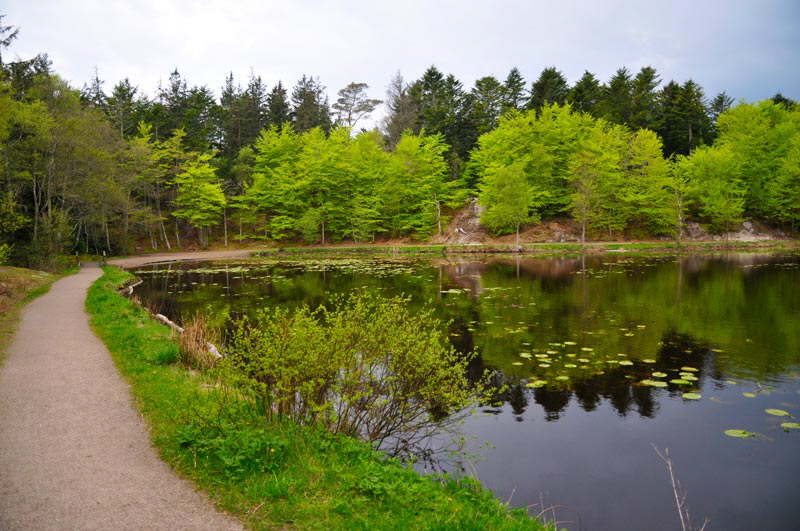 tverstedseen26