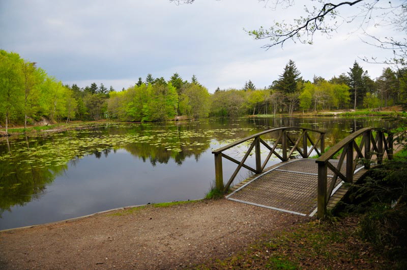 tverstedseen27