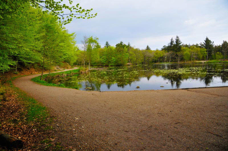 tverstedseen28