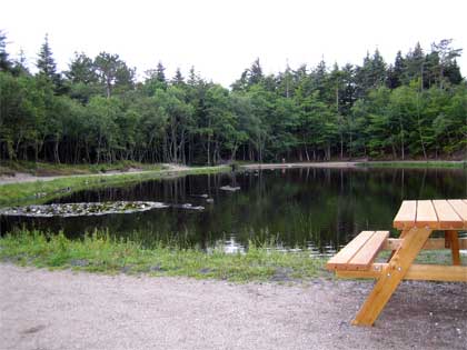 tvsee-2007