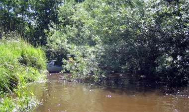 uggerby_5451