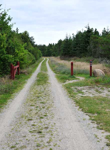 roedhus_8765
