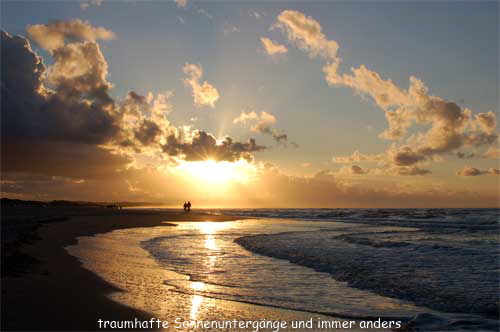 strand-65