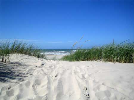 strand-dan-1[1]