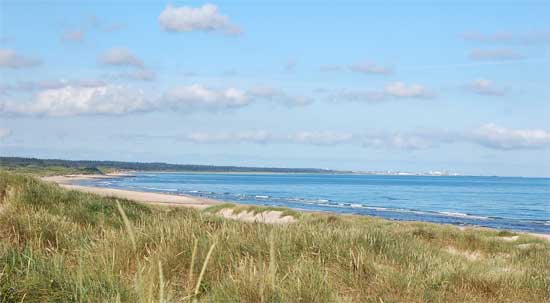 strand_223102