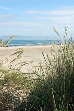 strand_2242