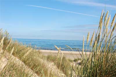 strand_2249