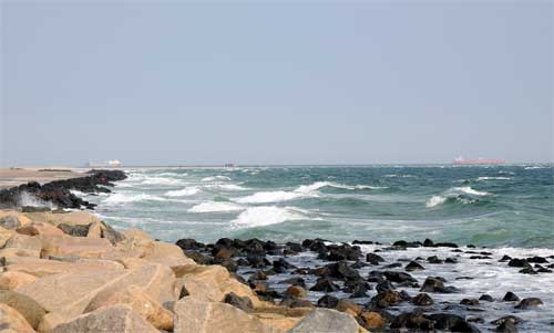 grenen_3881