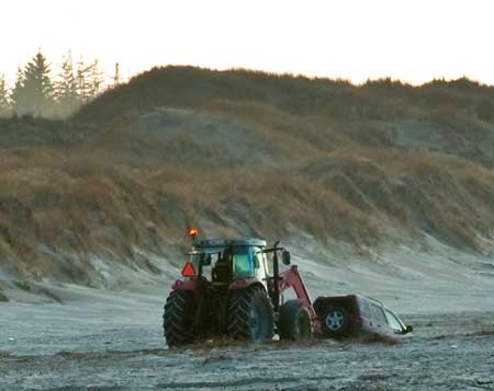 strand_7636 strand_7636