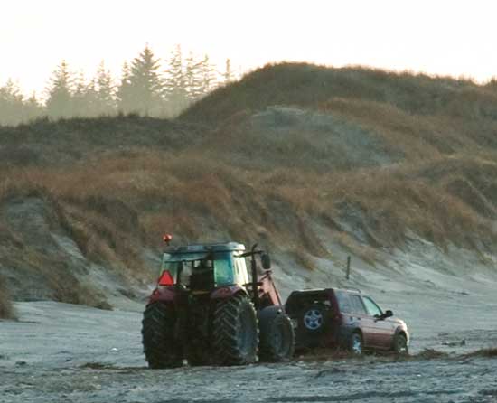 strand_7641 strand_7641