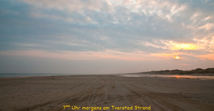 tversted_7846 tversted_7846