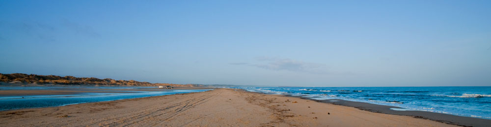 tversted_7879 tversted_7879