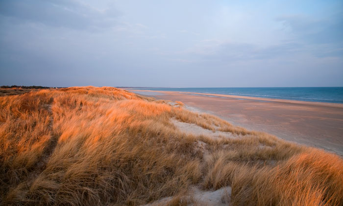 tversted_7956