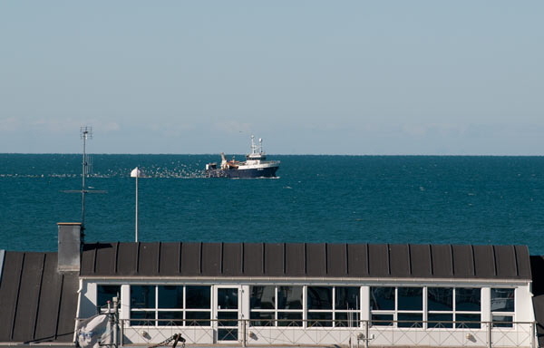 hirtshals52