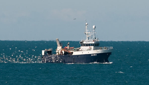 hirtshals521
