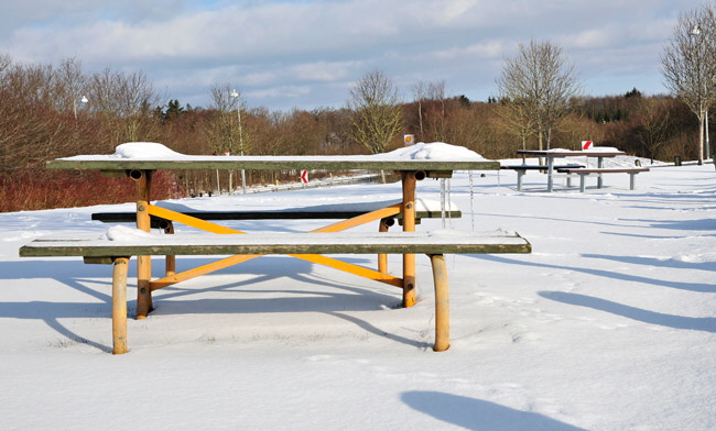 schnee65