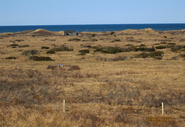 tversted_1021