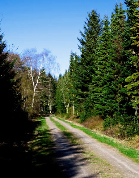 tversted20142