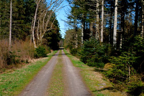tversted20143