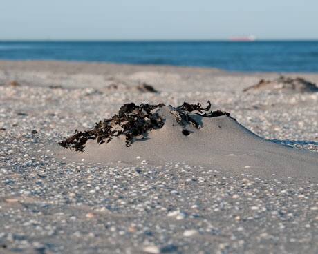 ostsee4