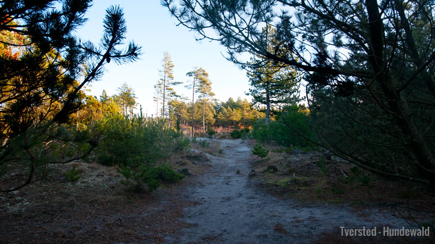 tversted hundewald