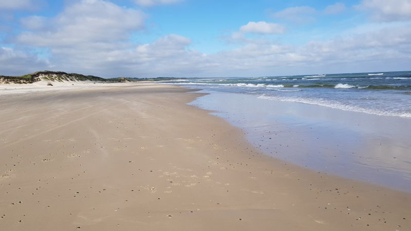 tversted_073 tversted_073