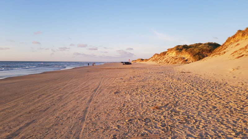tversted_130 tversted_130