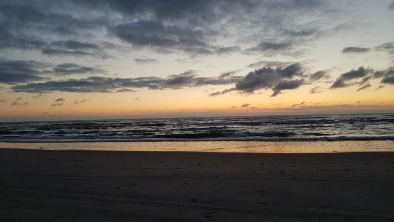 tversted_137 tversted_137