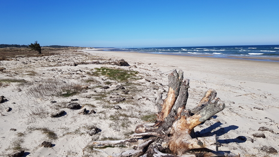 Uggerby_2022 Uggerby_2022