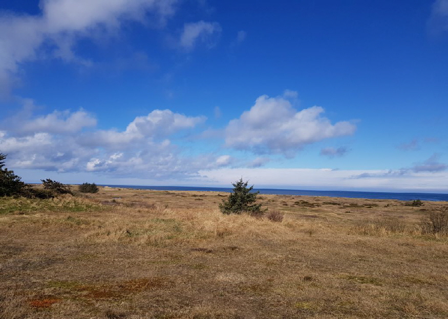 tversted_os 0124 tversted_os 0124