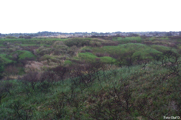 tversted_0180 tversted_0180