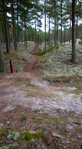 mtb455