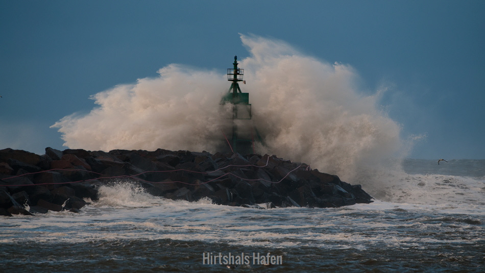 hirtshals95