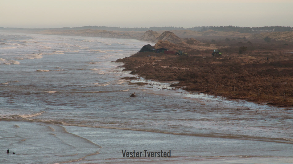 tversted148