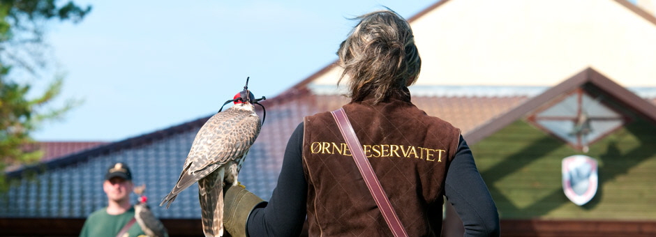 Adlerreservat Tuen