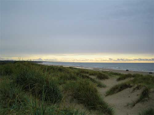 Strand-2